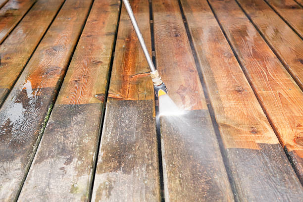 Best Sidewalk and Walkway Cleaning  in Dash Point, WA